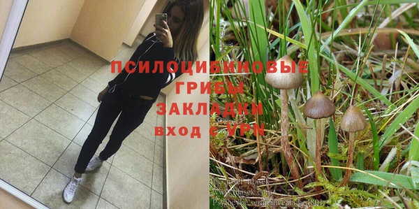 герыч Алзамай