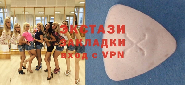 дживик Няндома