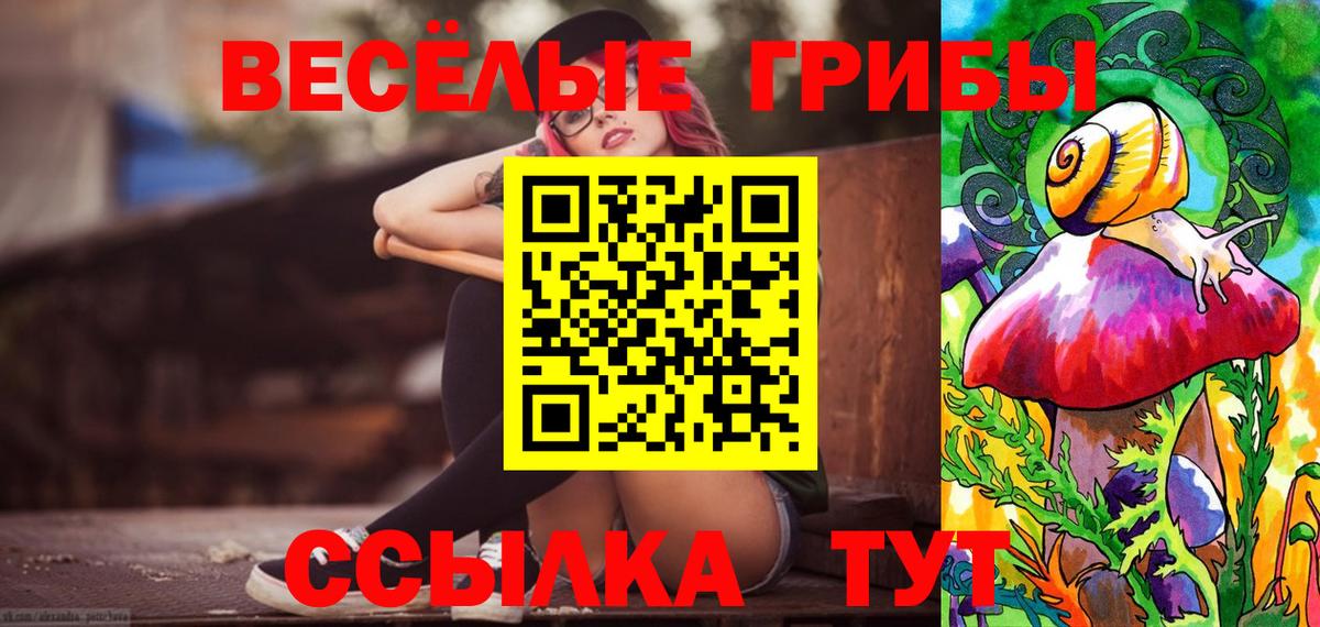 Псилоцибиновые грибы Cubensis Саки