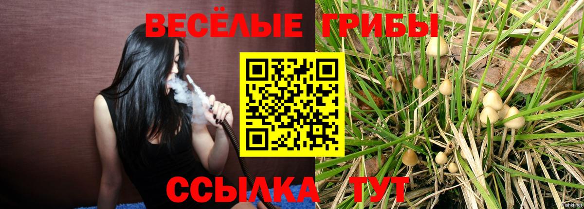 Саки  Псилоцибиновые грибы ЛСД  Вход с VPN 